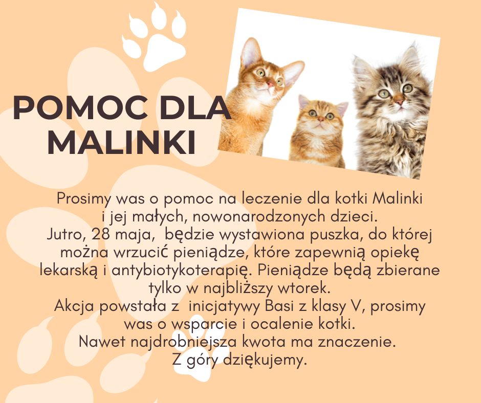 plakat informujący o akcji na rzecz kota